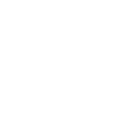  The BE MORE Group